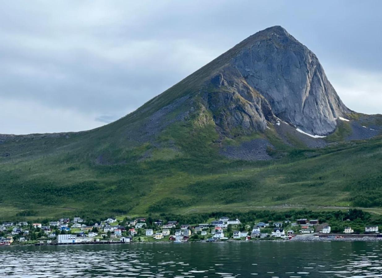 Вілла Rigmorhuset Fjordgard Екстер'єр фото