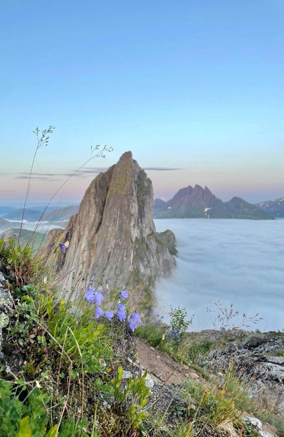 Вілла Rigmorhuset Fjordgard Екстер'єр фото